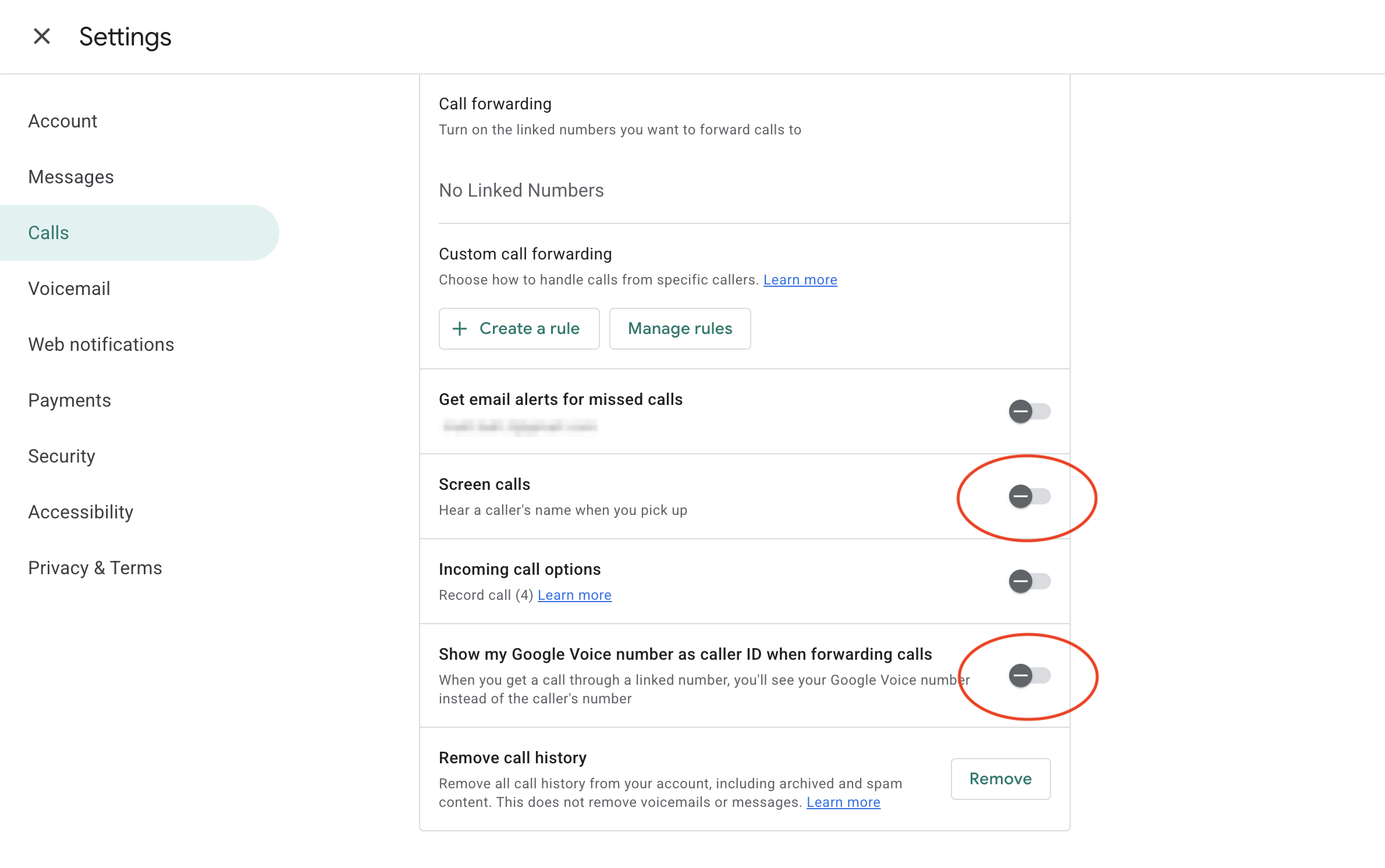 google voice additional settings